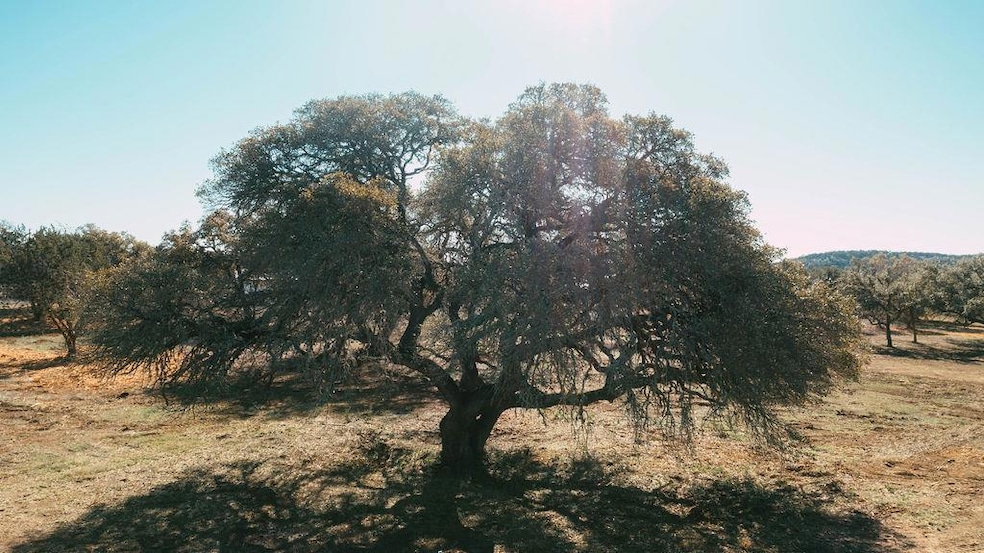 268 Loop, Austin, TX 78737 - photo 1