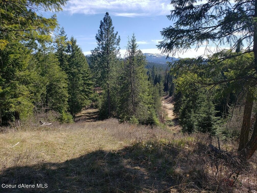 Pleasant Valley Loop Parcel A pic 2