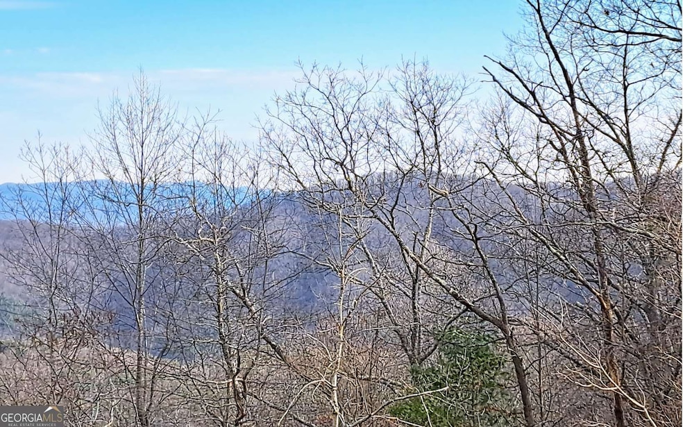LOT2 Summit Pass, Chatsworth, GA 30705 - photo 1