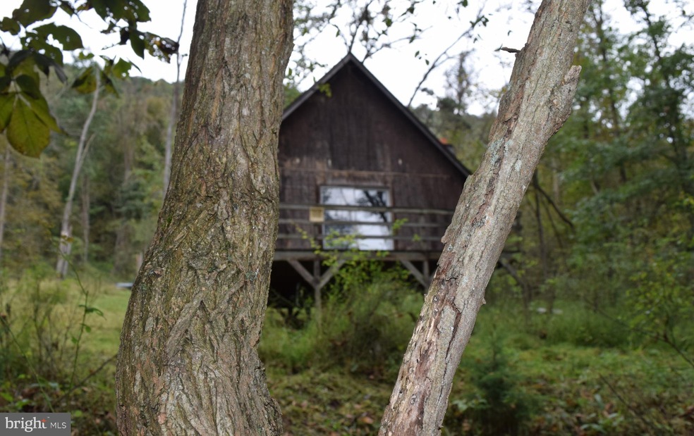 595 Mountain River Way, Springfield, WV 26763 - photo 1