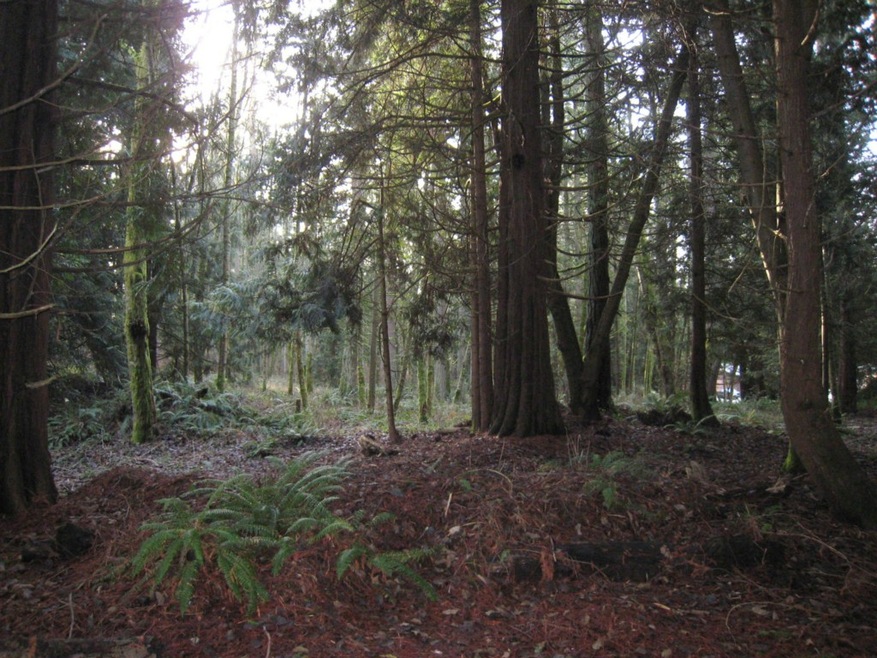 46 Lot A 192nd St, Stanwood, WA 98292 - photo 1