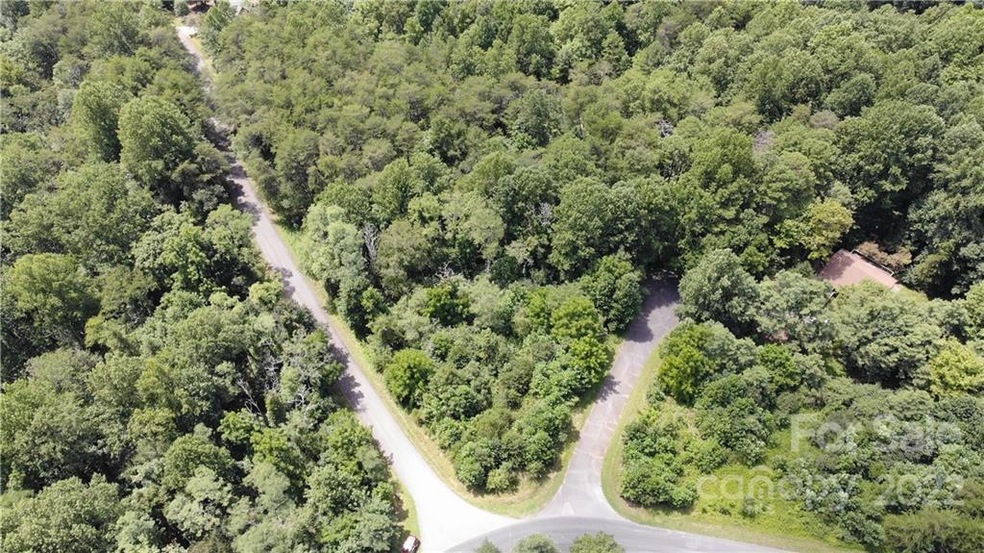 0 Wolf River Ln unit 62, Lake Lure, NC 28746 - photo 1