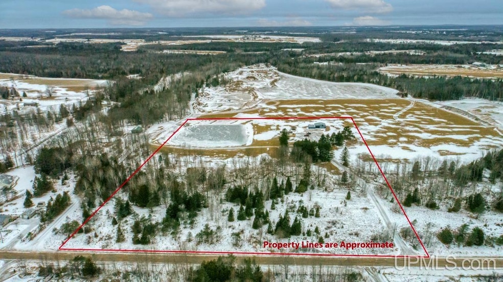 View of 14+ acres with pond