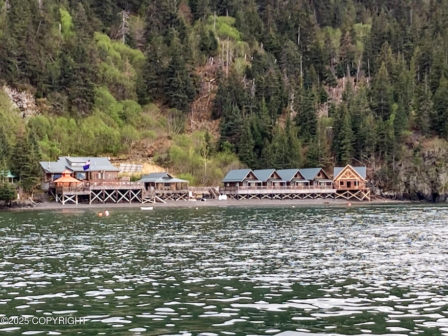 50815 Halibut Cove Rem SW, Homer, AK 99603 - photo 1
