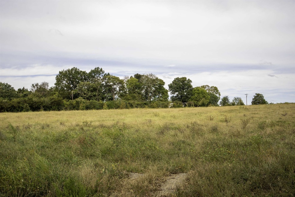 0 R E Wright Rd unit 2478409, Snow Camp, NC 27349 - photo 1