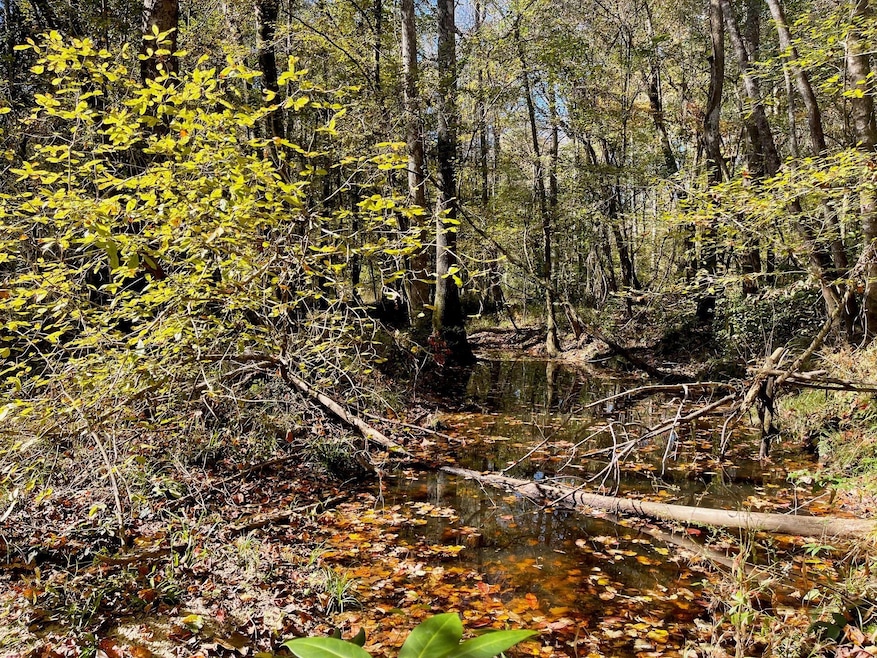 000 Hwy 35, Collins, MS 39428 - photo 1