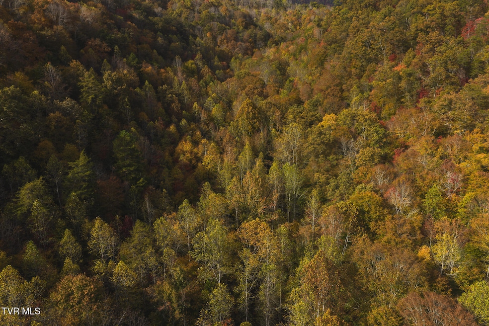 0 Livesay Chapel Rd unit 9987977, Kyles Ford, TN 37765 - photo 1