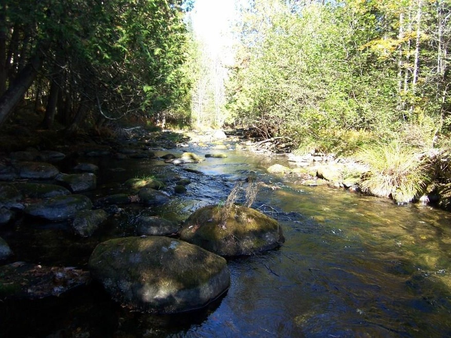 Up Stream #1
