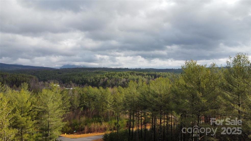 26 Peninsula Reserve Rd unit 26, Nebo, NC 28761 - photo 1