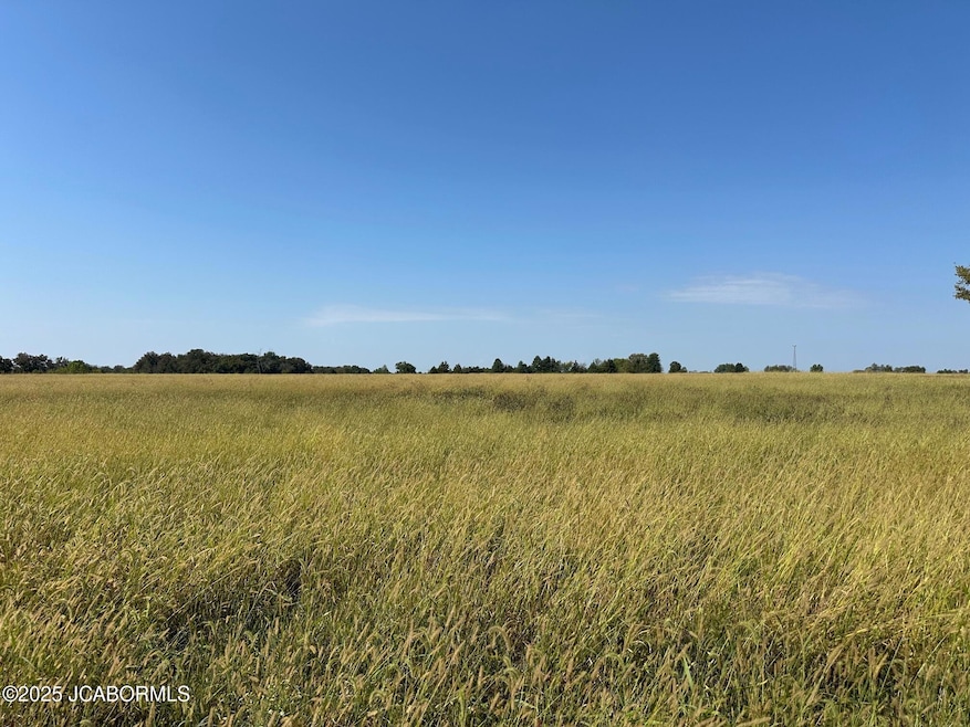 0 4 08 Ac Tract2 Cr 404 unit 10071797, Fulton, MO 65251 - photo 1