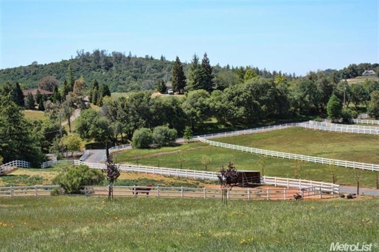 View of horse corral, shelter and pasture