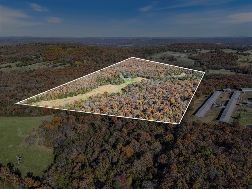 136 Downing (Wc) Rd, Fayetteville, AR 72701 - photo 1