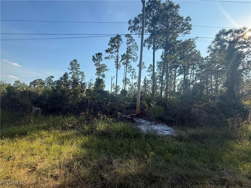 1084/1086 Ainsworth St E, Lehigh Acres, FL 33974 - photo 1