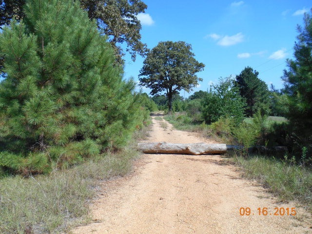 2033 Van Norman Curve, McComb, MS 39648 - photo 1