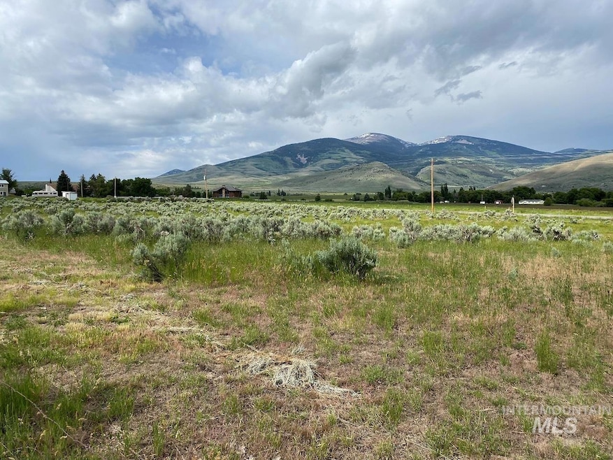 1977 S Elba Almo Rd, Elba, ID 83342 - photo 1