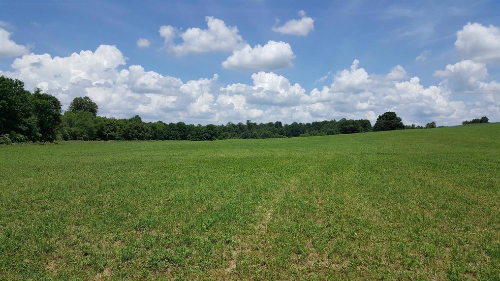 0 Co Rd 1300 N unit 1706139, Batesville, IN 47006 - photo 1