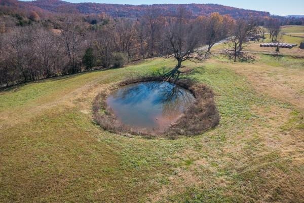 33.59 AC E Bethlehem Rd, Sparta, TN 38583 - photo 1