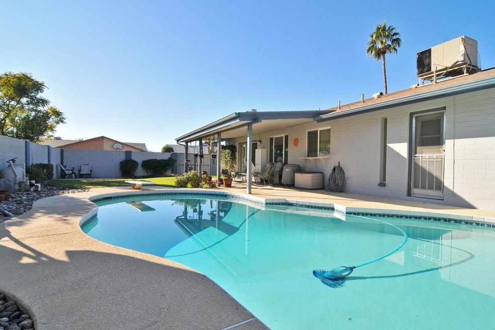 Pool & Deck
