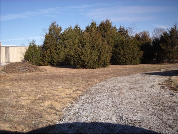 Lot 12 Bonanza, Kimberling City, MO 65686 - photo 1