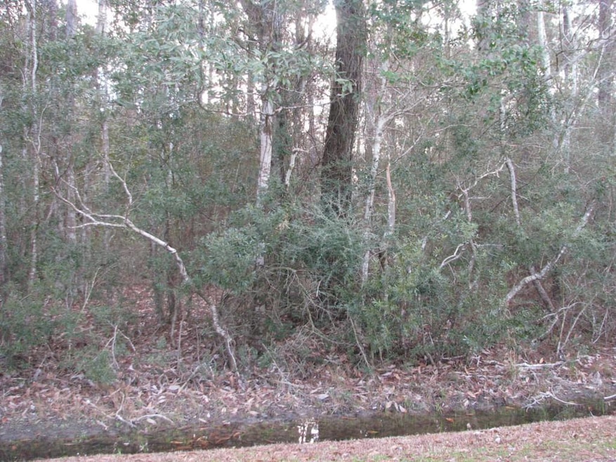 unlisted-address, Slidell, LA 70461 - photo 1