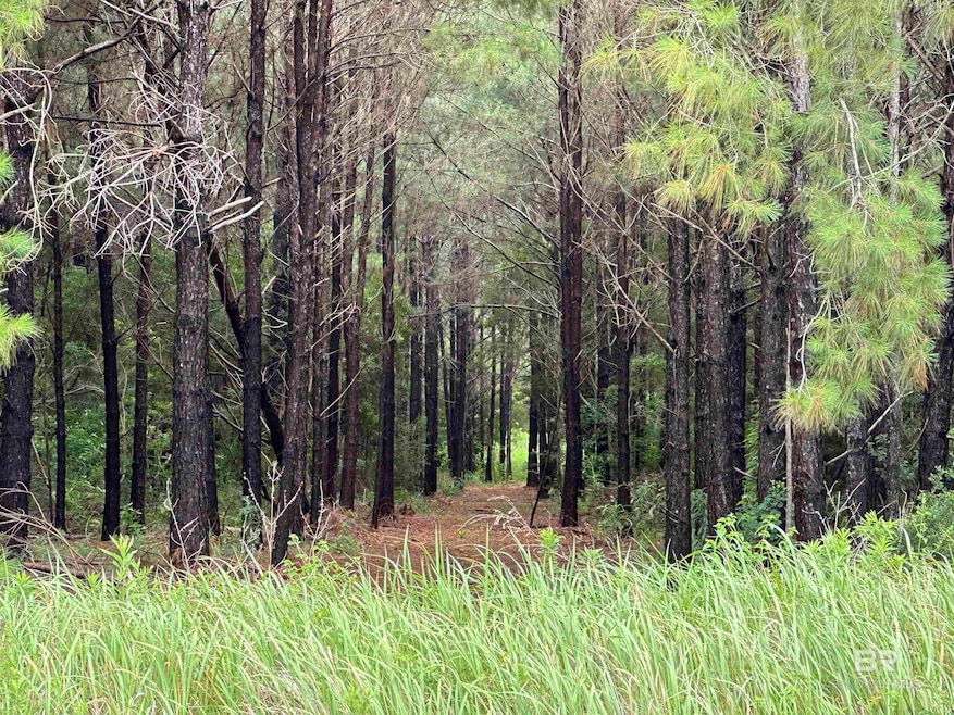 0 James Rd unit Lot 11 379951, Foley, AL 36535 - photo 1