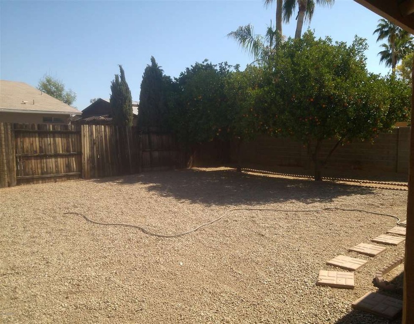 Backyard 1