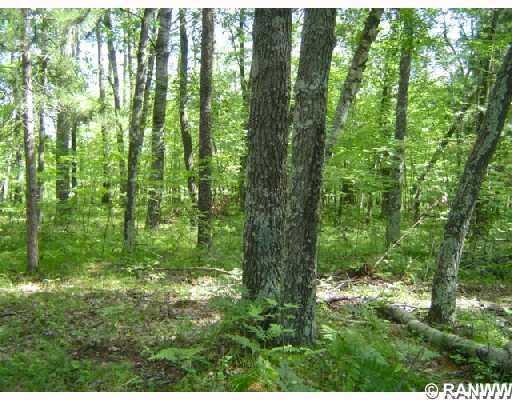 0 Deerpath Trailway unit 640392, Webster, WI - photo 1