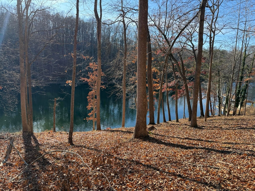 Lot 3 Aspen Way, Moneta, VA 24121 - photo 1