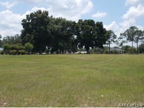 unlisted-address, Hernando, FL 24442 - photo 1