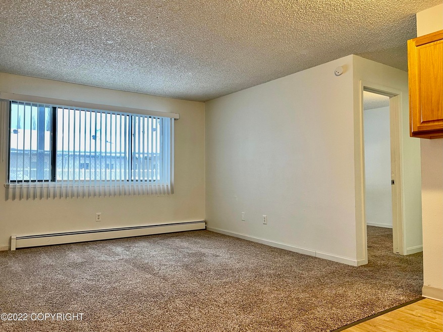 3400 Eureka St unit 314, Anchorage, AK 99503 - photo 1
