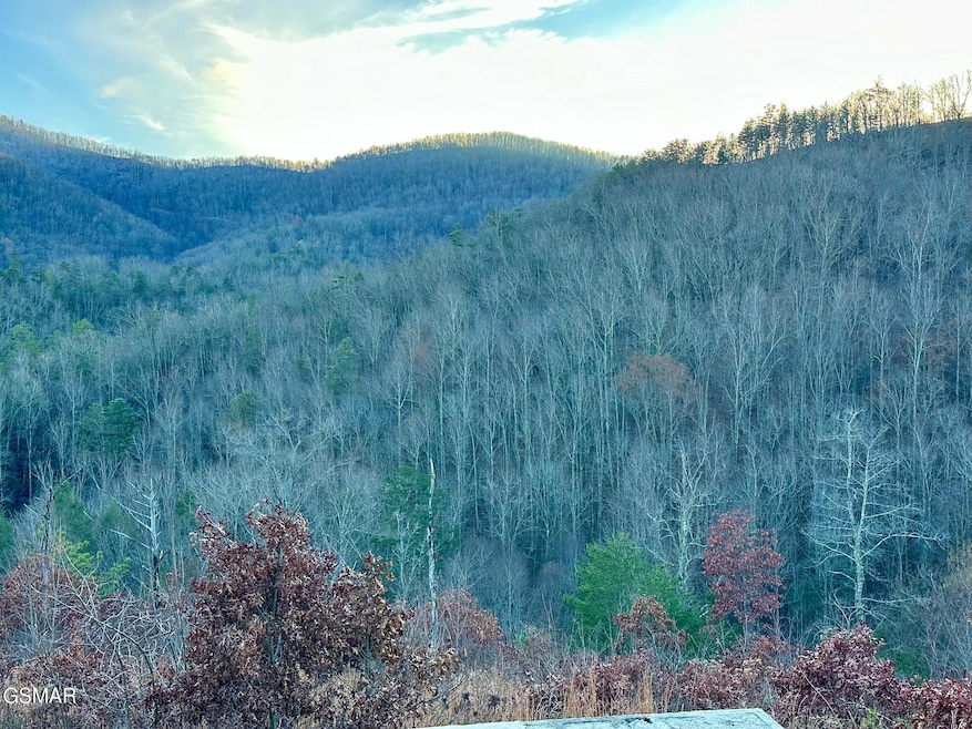 1611 Mountain Dreams Way, Sevierville, TN 37862 - photo 1