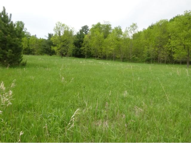 1.63 Acre Parcel Near School