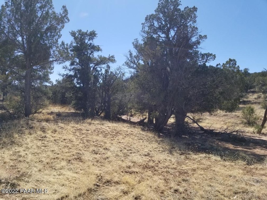 0 Un Named Rd unit 1045970, Ash Fork, AZ 86320 - photo 1