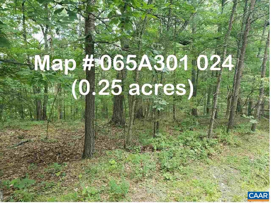 0 Dooley Dr unit 24 594552, Basye, VA 22810 - photo 1