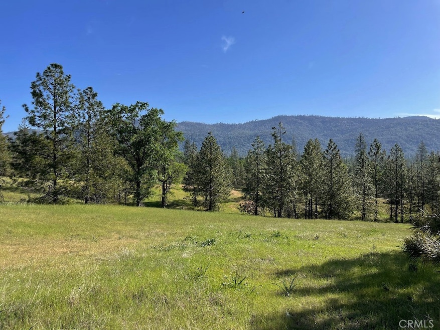 0 Triangle Rd unit MP24174683, Mariposa, CA 95338 - photo 1