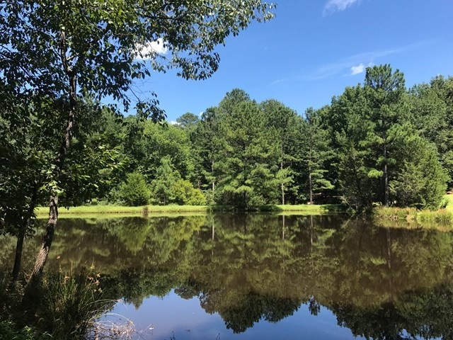 Lot 3 Guillebeau Rd, Lincolnton, GA 30817 - photo 1