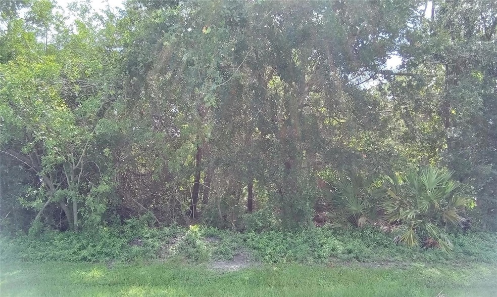 397 Benchor St, Sebastian, FL 32958 - photo 1