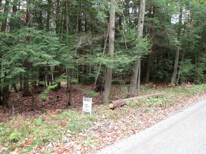 0 Miller Rd, Sigel, PA 15860 - photo 1