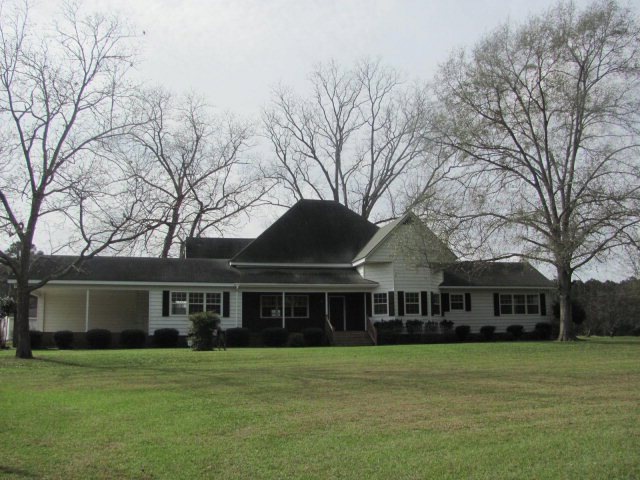 Main View
