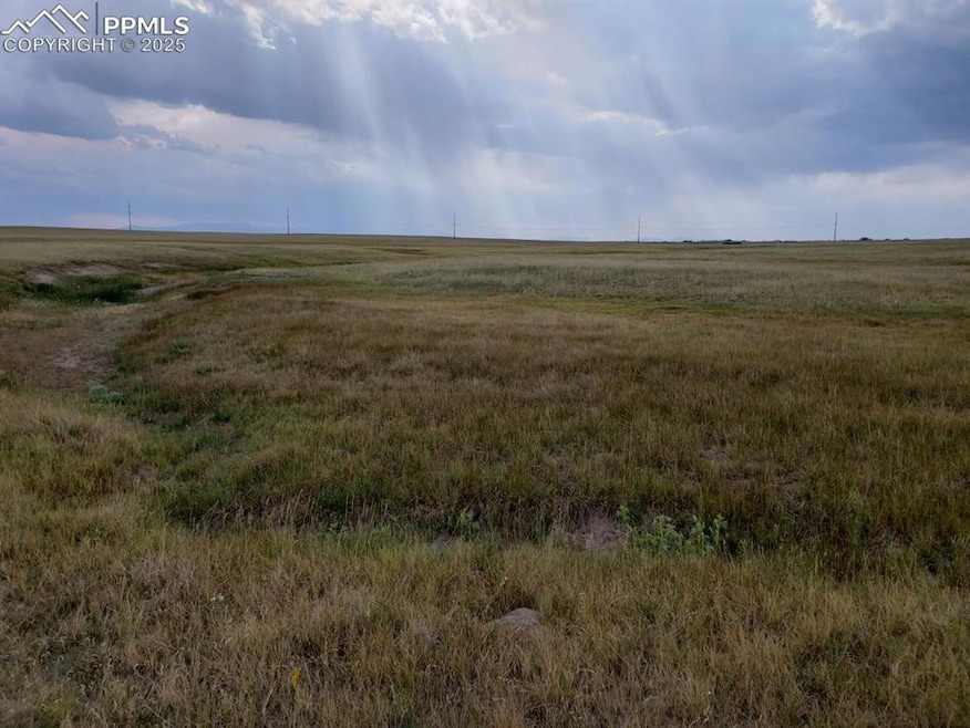 8155 Cowboy Ranch View, Falcon, CO 80831 - photo 1