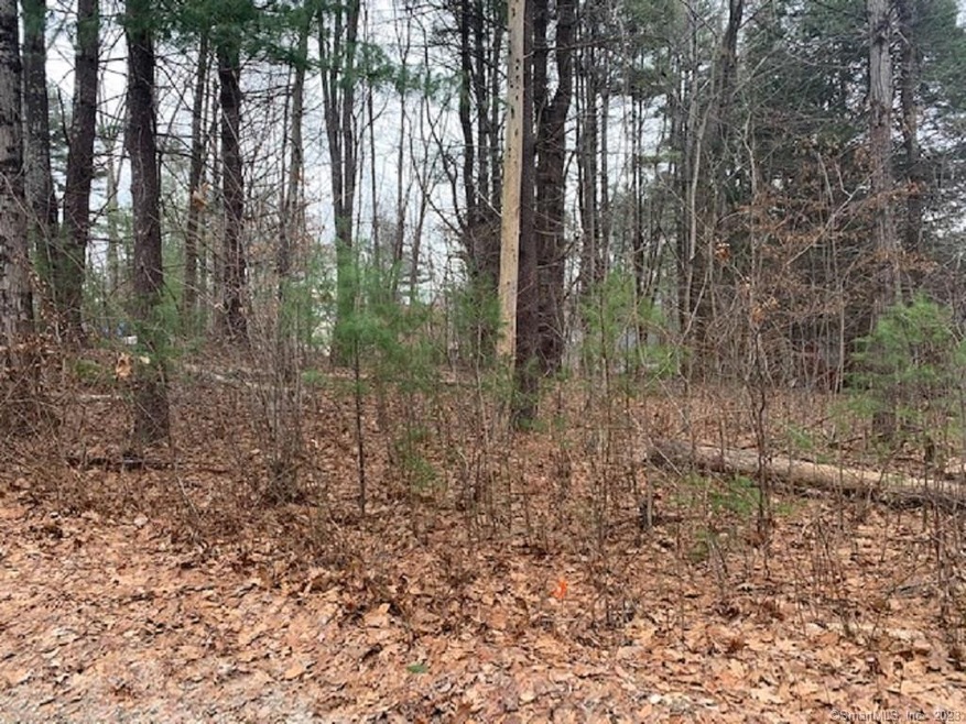 06-10 Playground Dr, Woodstock, CT 06281 - photo 1