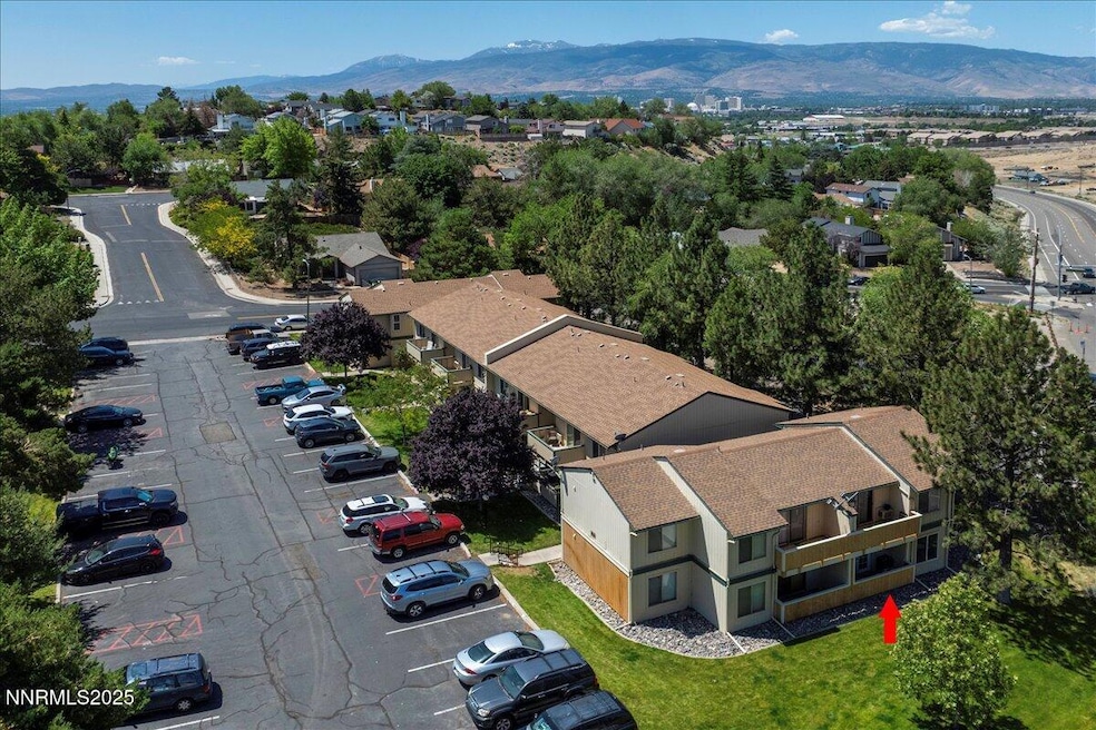 1-DJI_0260(arrow)
