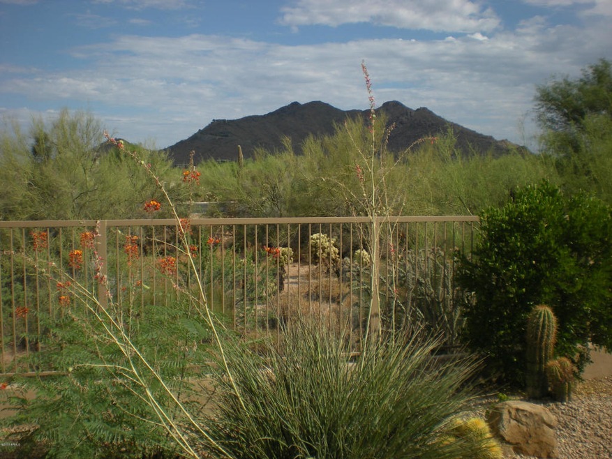 Patio view