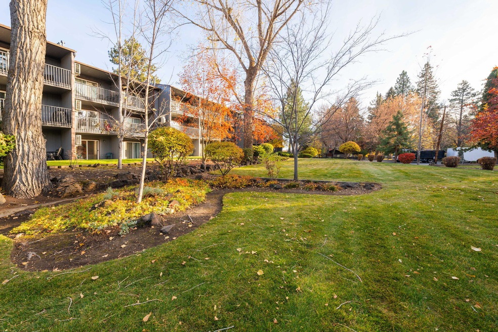 32-web-or-mls-RileyVisuals-32