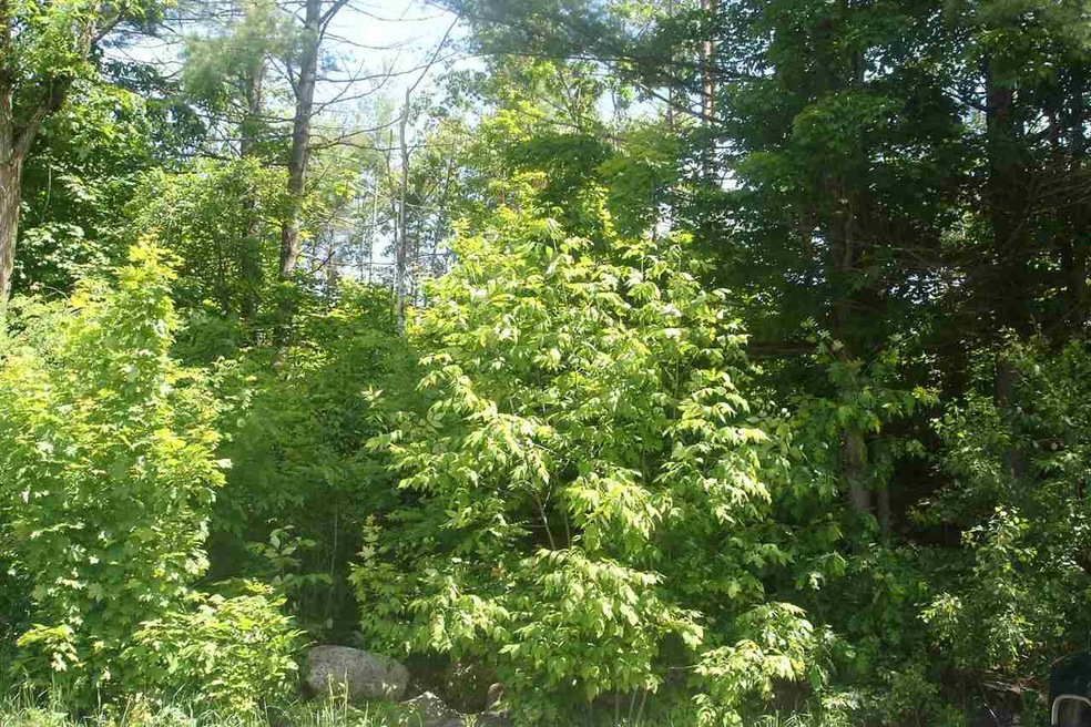 12 Merrill Rd unit Map 9 / Lot 14, Hillsborough, NH 03244 - photo 1