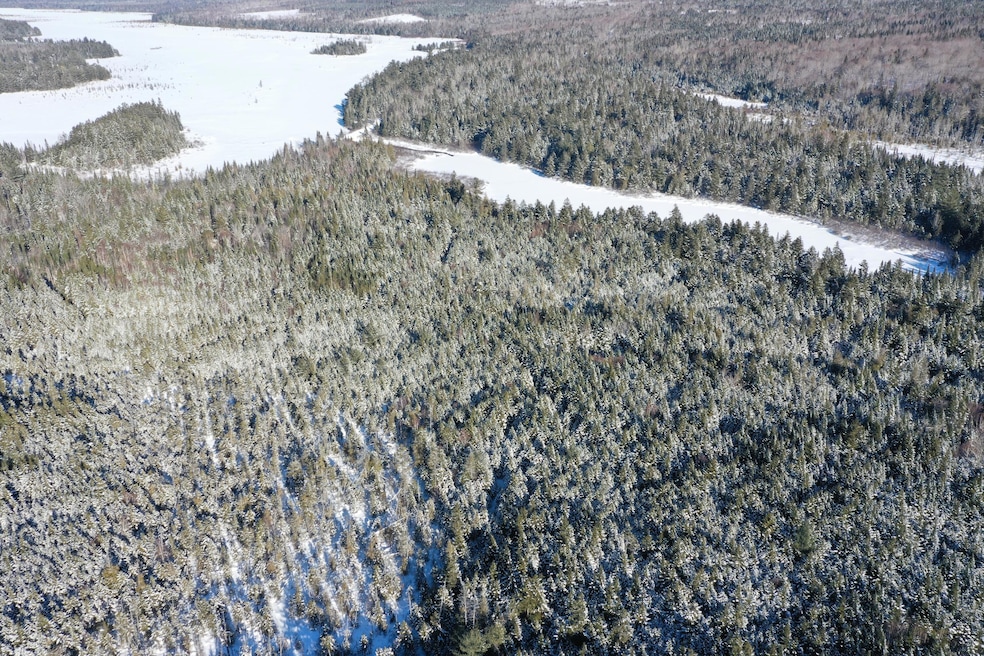 DJI_0716