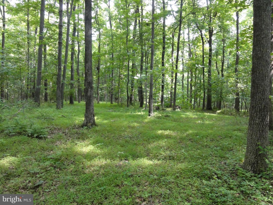 0 Purcellville Rd unit VALO415100, Purcellville, VA 20132 - photo 1