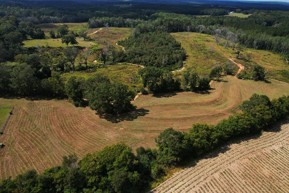 2085 County Road 3341, Brundidge, AL 36010 - photo 1