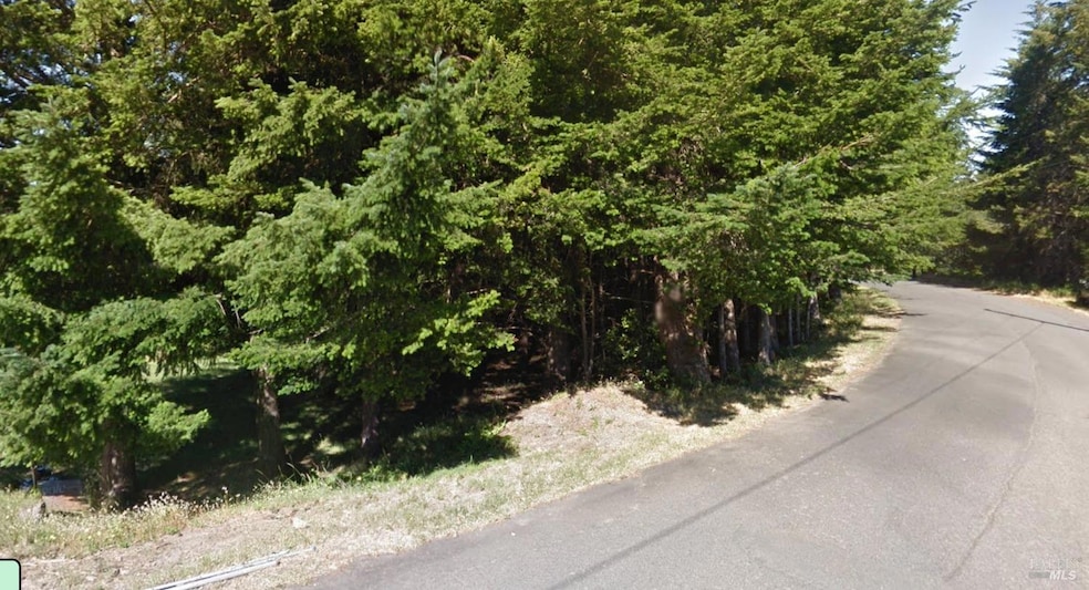 566 Redwood Rd, Shelter Cove, CA 95589 - photo 1