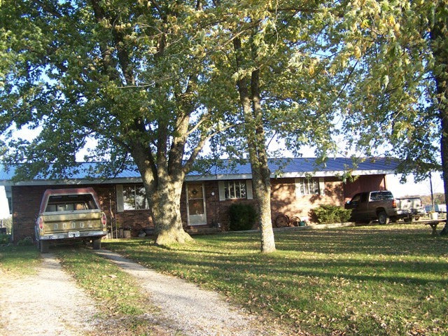 Primary Photo